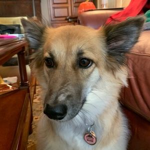 Meet your Posher, Nadine